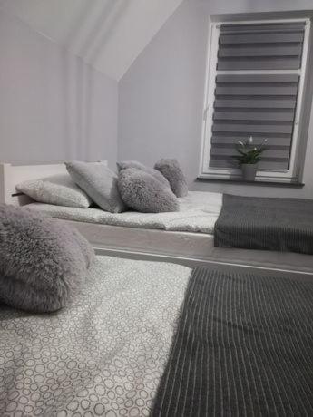 U Ptaka - Podgorzyn Apartment Ngoại thất bức ảnh